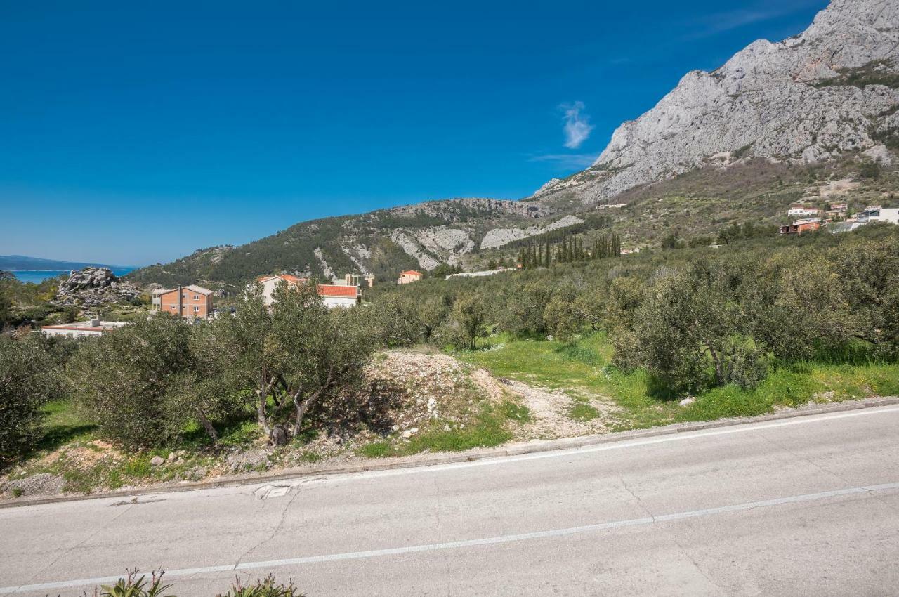 Vila Branka Μακάρσκα Εξωτερικό φωτογραφία